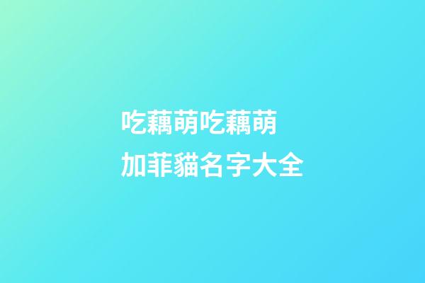 吃藕萌吃藕萌 加菲貓名字大全